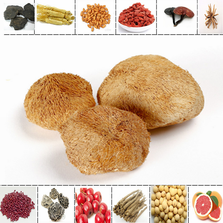 猴頭菇提取物清藍(lán)生物當(dāng)當(dāng)供應(yīng)