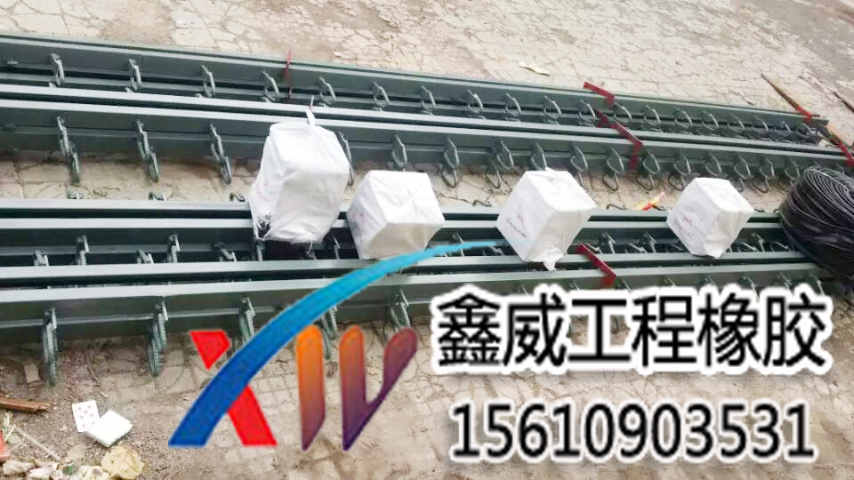公路橋梁伸縮縫類(lèi)型伸縮縫廠家