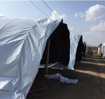 [雷馬]黑白膜 食用菌大棚膜 養(yǎng)殖膜 防老化膜 賽瑞斯 賽瑞斯黑白膜