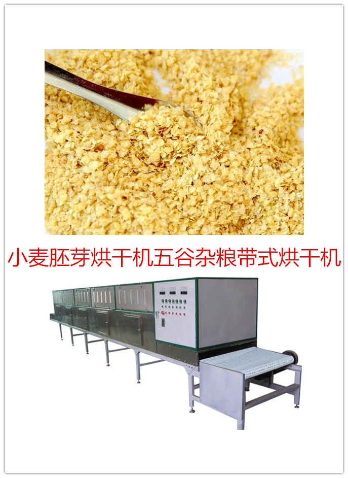 調(diào)味品/雞精/香精香料烘干機(jī)