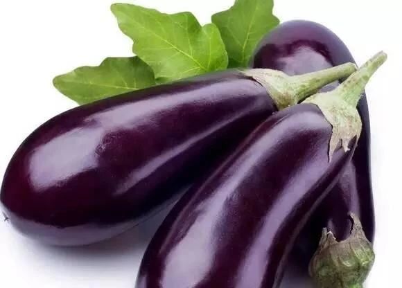 果蔬清洗機(jī) 蔬菜清洗機(jī) 扁豆清洗