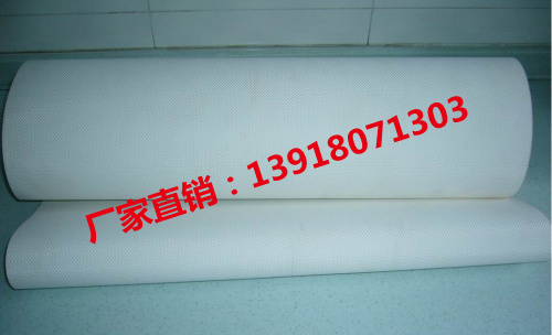水果擋板提升帶，海帶輸送帶