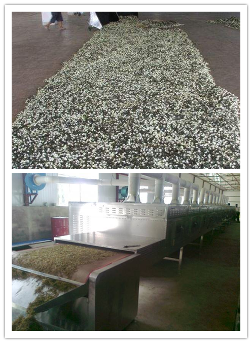 腐竹/花茶/茉莉花微波烘干機(jī)