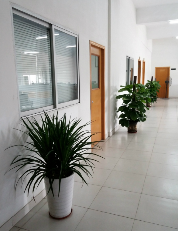 北京扎帶機(jī)|北京扎帶機(jī)廠家