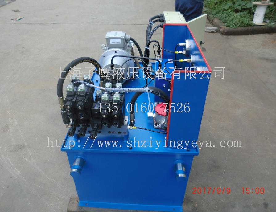 200L液壓泵站油缸定做