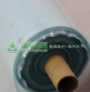 [雷馬塑料]蘭花牌長壽流滴大棚膜 2年防老化 流滴薄膜 果蔬大棚膜 蘭花牌大棚膜