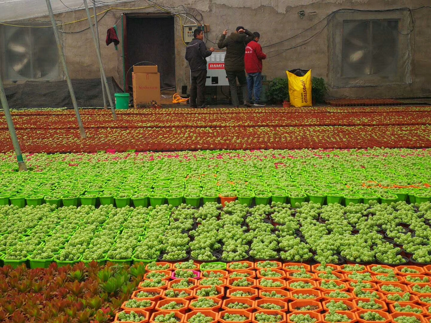 燃氣直排式熱風機 燃氣型直排式熱風機