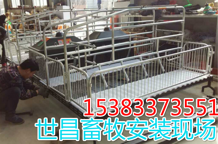 豬產(chǎn)床設(shè)備 新型雙體豬床供應(yīng)新型養(yǎng)豬器械廠家