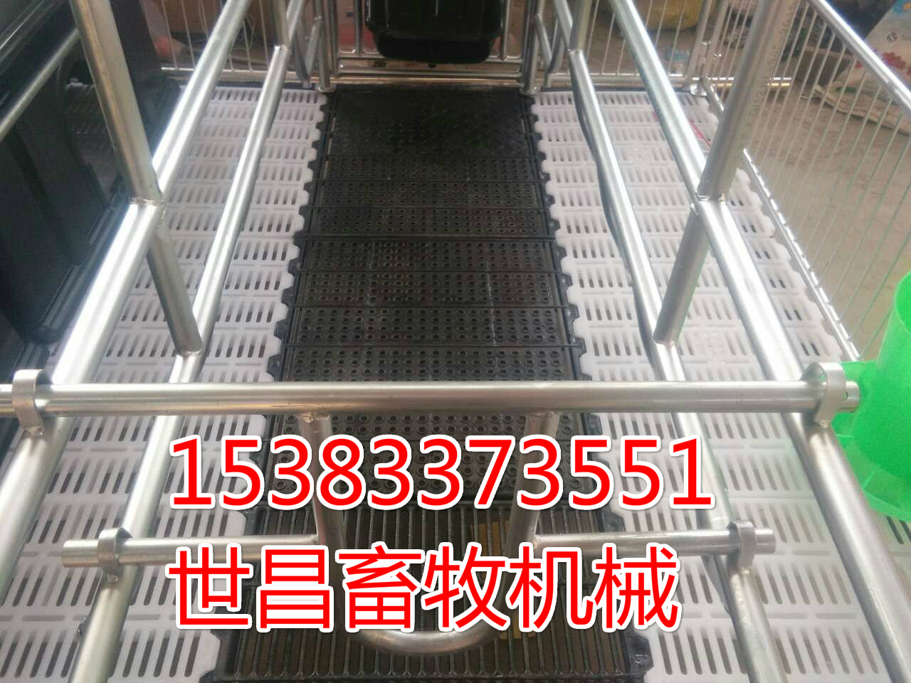 豬產(chǎn)床設(shè)備 新型雙體豬床供應(yīng)新型養(yǎng)豬器械廠家