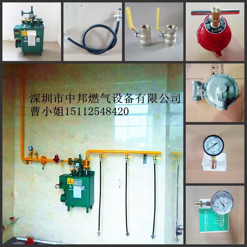 深圳中邦氣化爐 氣化器氣化爐廠家