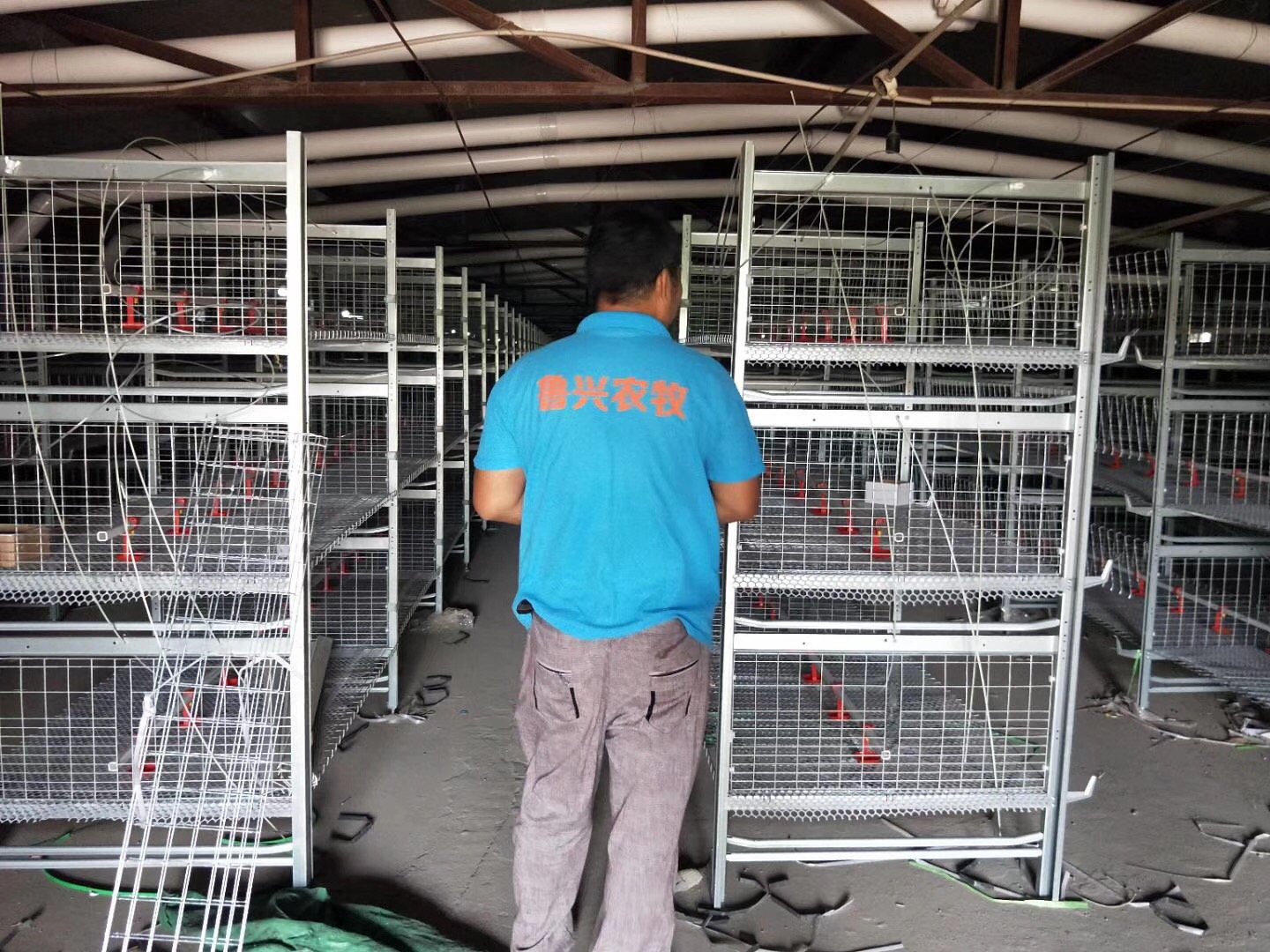 魯興農(nóng)牧 魯興農(nóng)牧現(xiàn)代化肉雞籠籠養(yǎng)設(shè)備