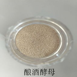 廠家*高蛋白水產(chǎn)飼料添加劑釀酒酵母