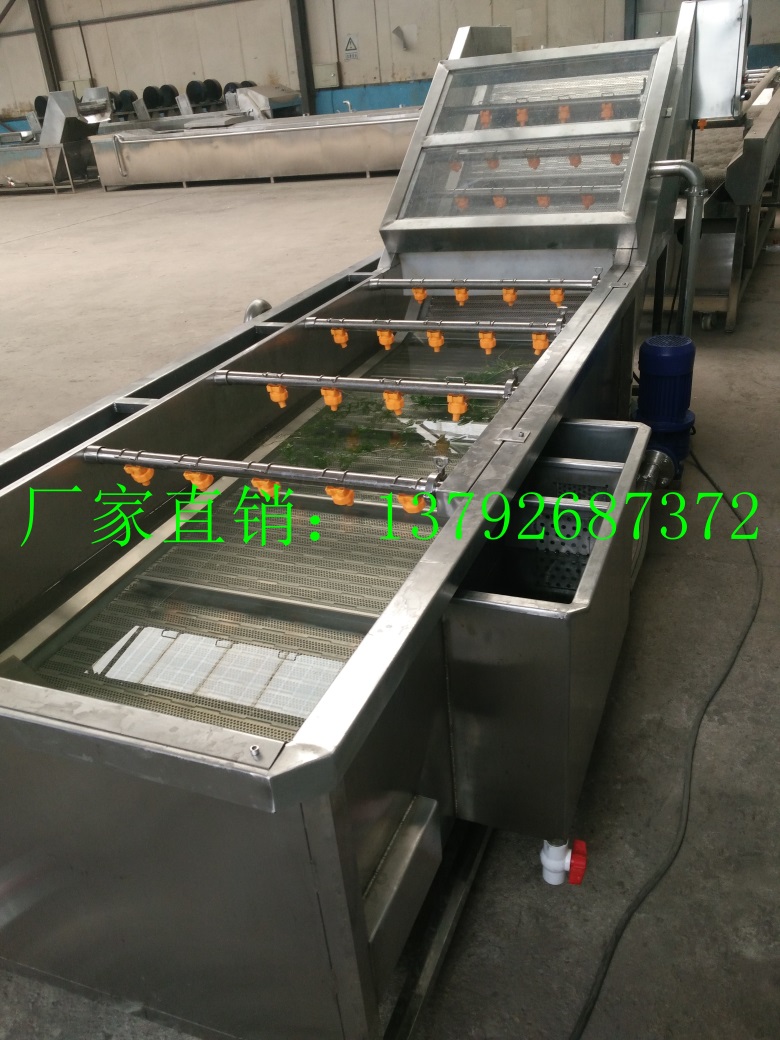 山菜白菜翻浪式氣泡清洗機 龍須菜連續(xù)氣泡清洗機 大小型氣泡式洗菜機