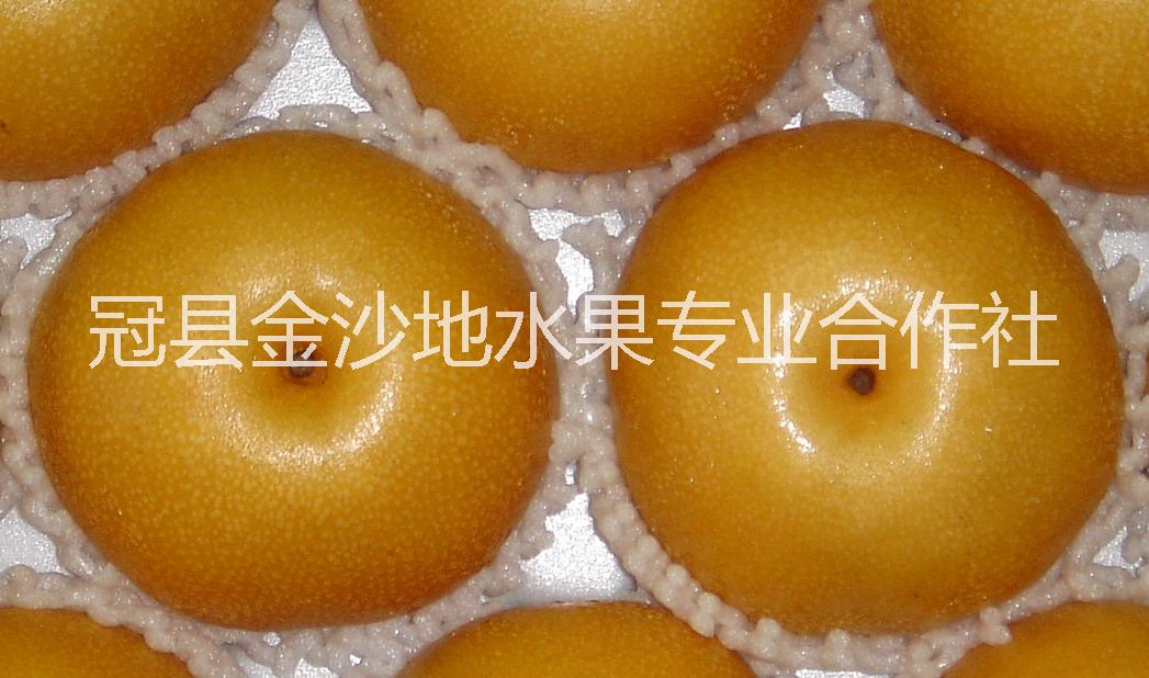 大量供應(yīng)山東豐水梨供貨商/豐水梨 冠縣山東豐水梨供貨商/豐水梨