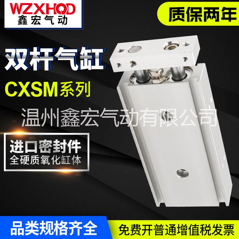 CXSM雙桿氣缸