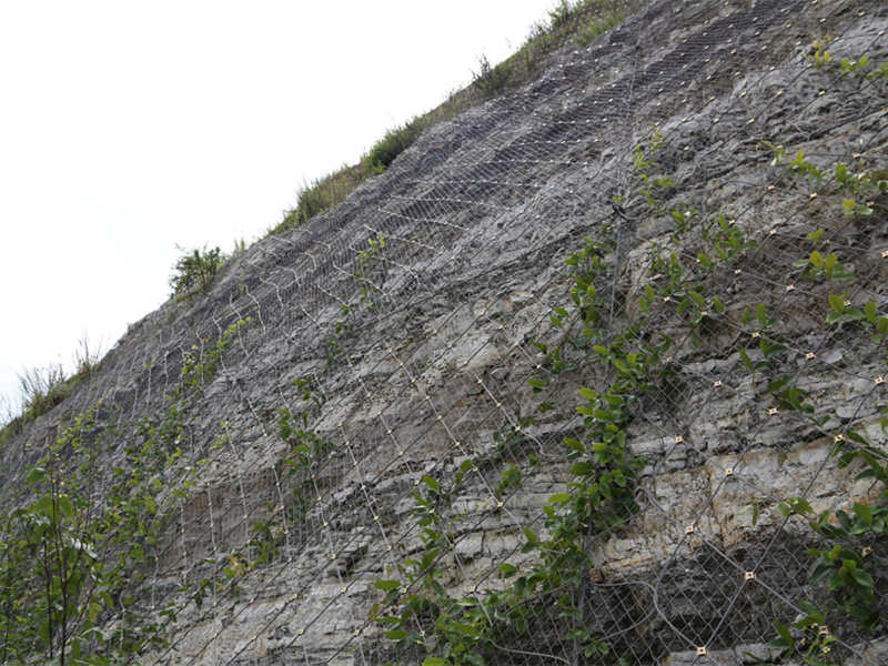 sns邊坡防護網(wǎng)多少錢