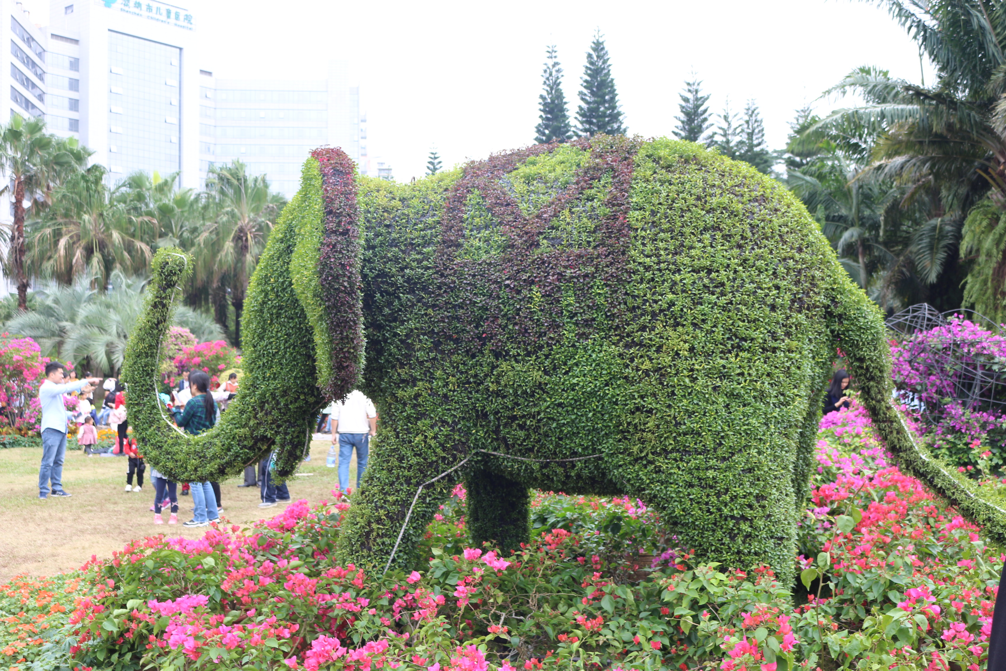 廣東深圳大型植物雕塑城市綠雕設(shè)計(jì)制作
