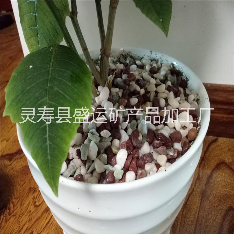 天津卵石廠家現(xiàn)貨批發(fā)園藝裝飾用品 彩色小石子 白色小石子 花盆裝飾 魚缸*卵石 鵝卵石 雨花石 洗米石