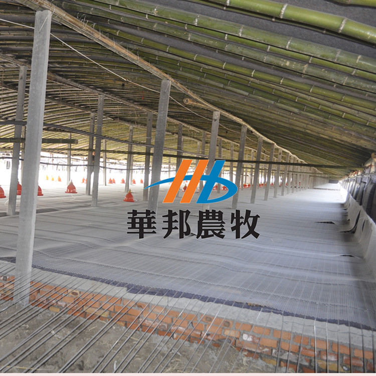 山東華邦自動化養(yǎng)殖設備肉雞養(yǎng)殖養(yǎng)雞平網(wǎng)