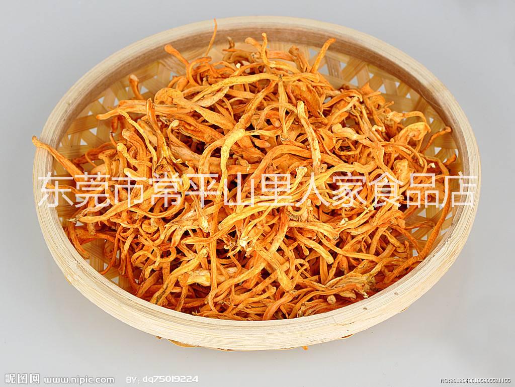 蟲草花韶關(guān)蟲草花產(chǎn)地直銷山里人家食品