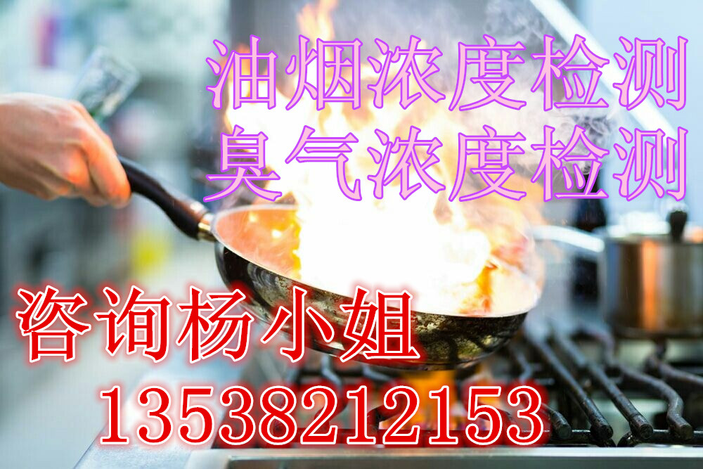 油煙檢測第三方機(jī)購