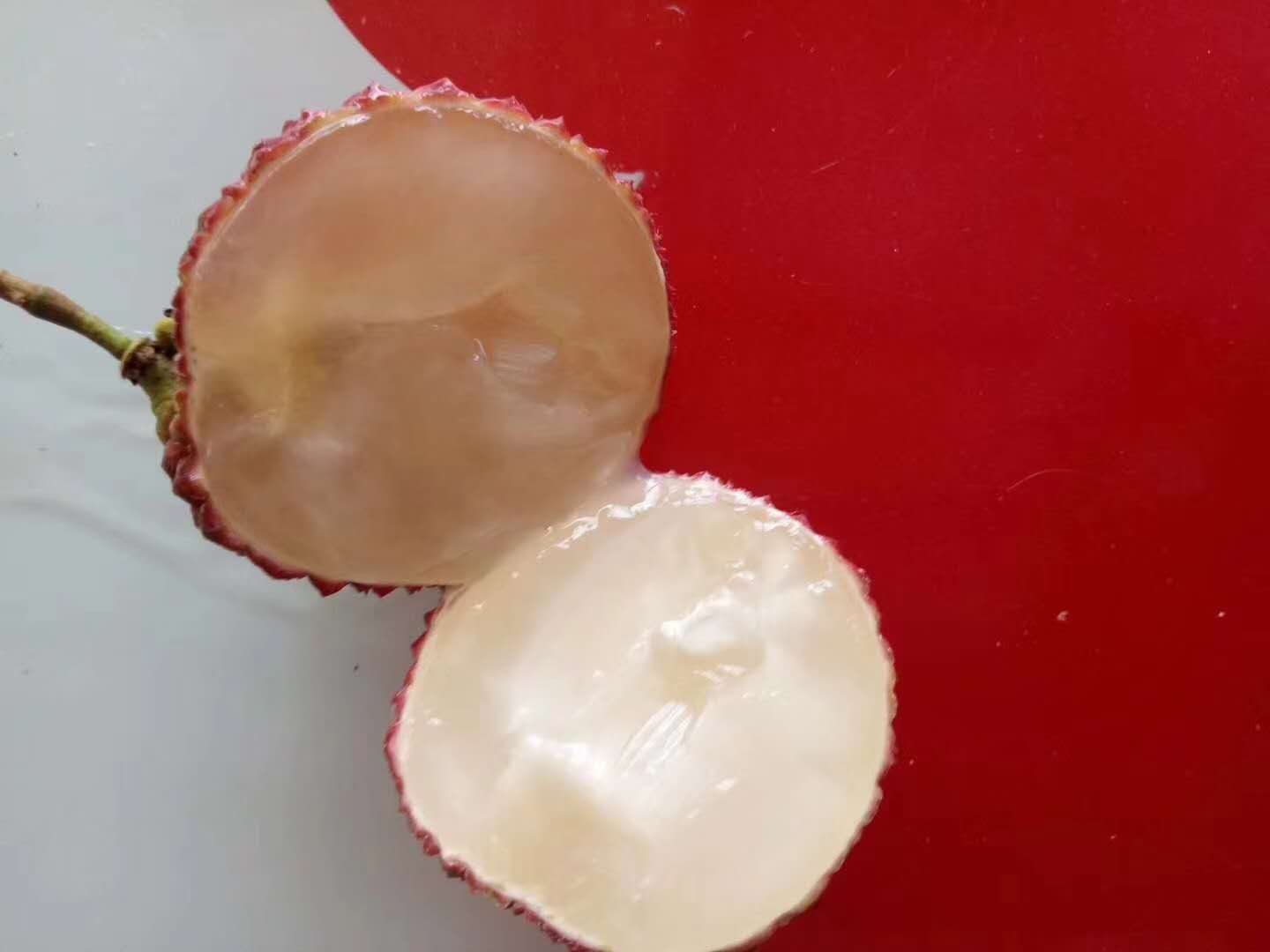 貴州省荔枝苗價格  六盤水市荔枝苗價格   畢節(jié)市荔枝苗價格   銅仁市荔枝苗價格  黔東南州荔枝苗價格