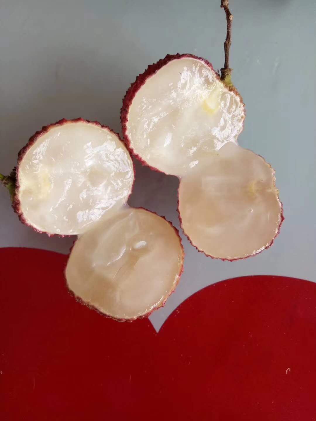 貴州省荔枝苗批發(fā)      六盤水市荔枝苗批發(fā)    畢節(jié)市荔枝苗批發(fā)    銅仁市荔枝苗批發(fā)