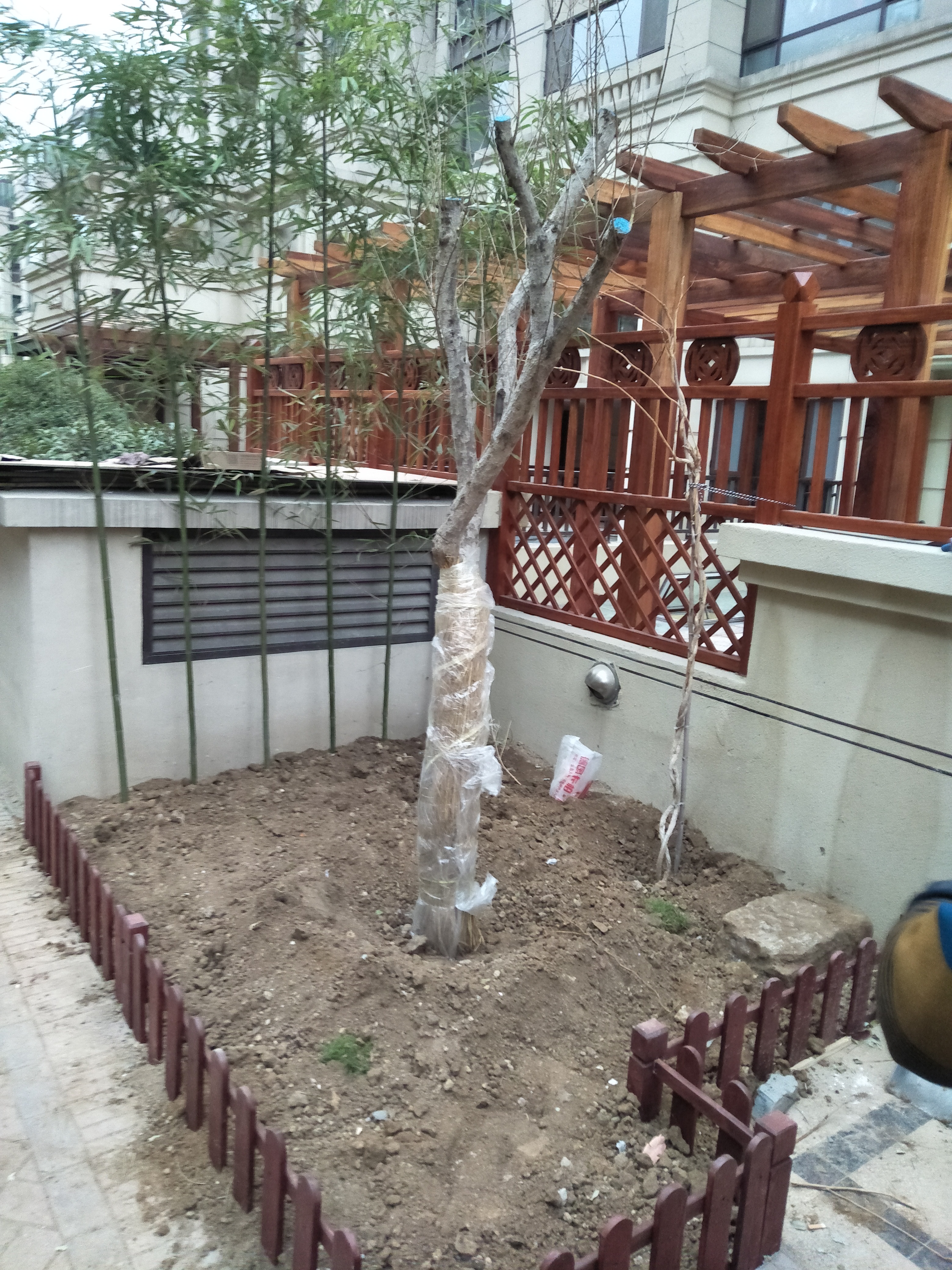 庭院設(shè)計(jì)施工養(yǎng)護(hù)、園林綠化工程