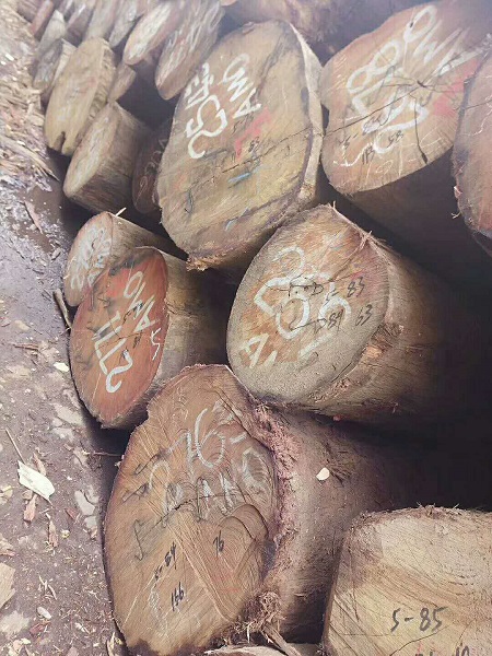 非洲菠蘿格古建筑屋頂?shù)燃?jí)