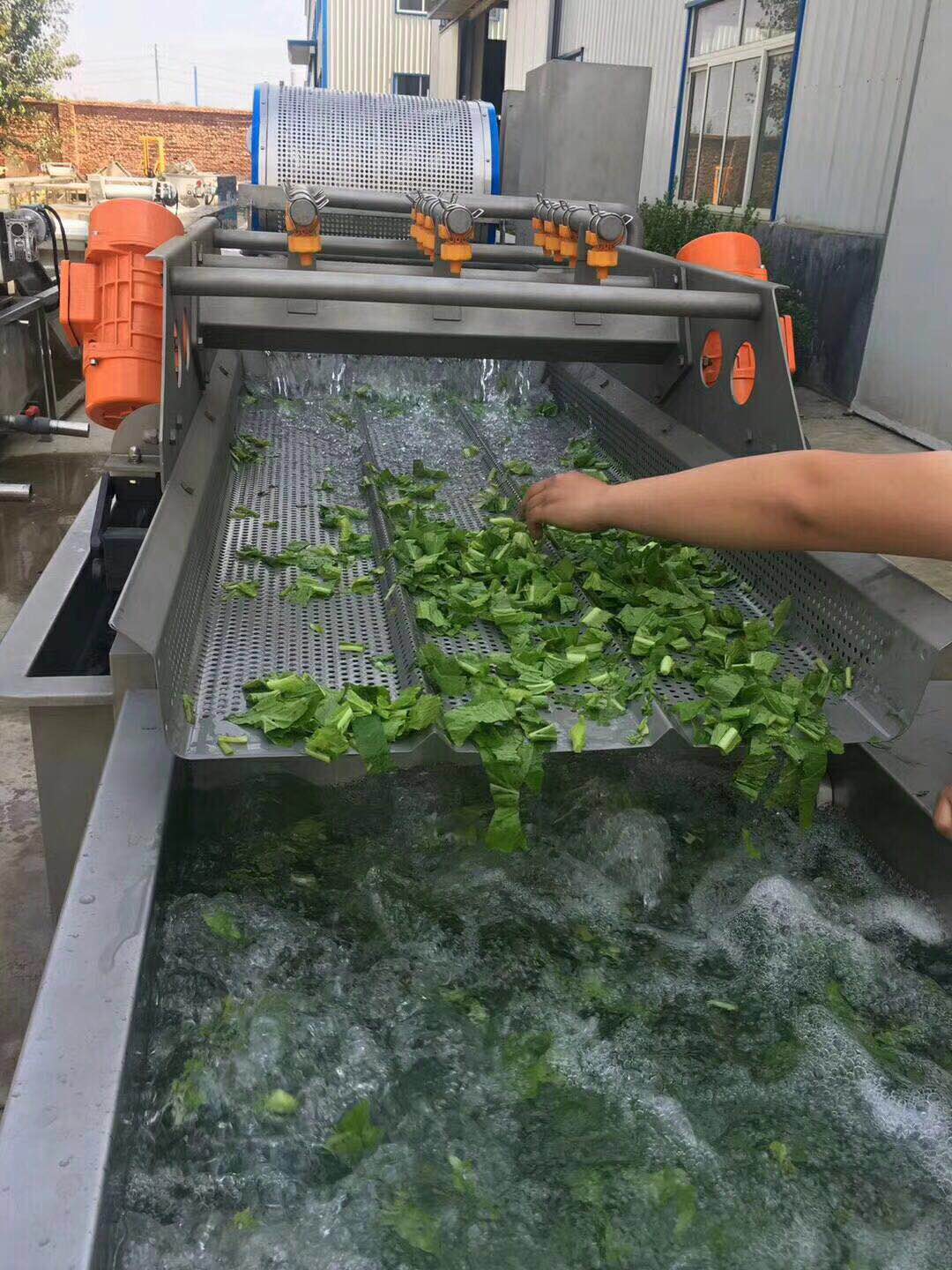 凈菜加工流水線  廠家供應(yīng)果蔬深加工設(shè)備 清洗風(fēng)干漂燙機(jī)器