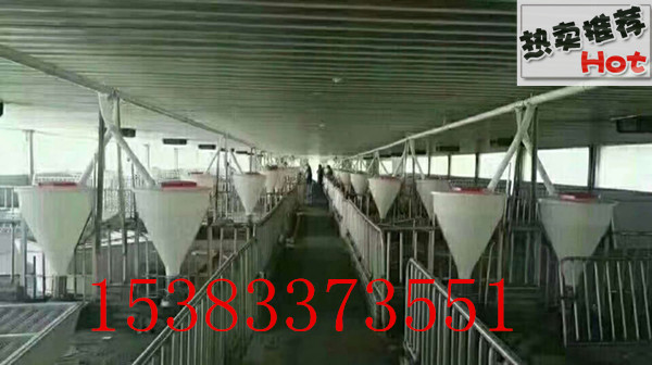 大型豬場(chǎng)自動(dòng)化喂豬料線價(jià)格預(yù)算連體豬舍料線使用