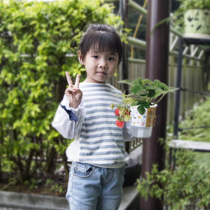 ecoey創(chuàng)意禮品樂樂盆栽塑料植物工藝品盆栽 植物盆栽工藝禮物特價(jià) 樂樂栽培果蔬小盆栽