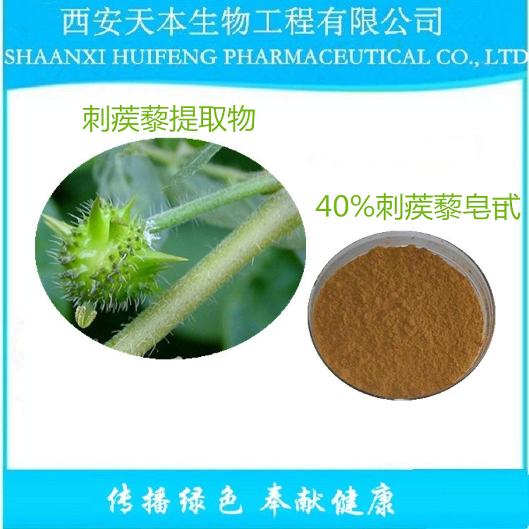 刺蒺藜提取物 刺蒺藜皂甙 廠家直銷(xiāo) 貨源充足