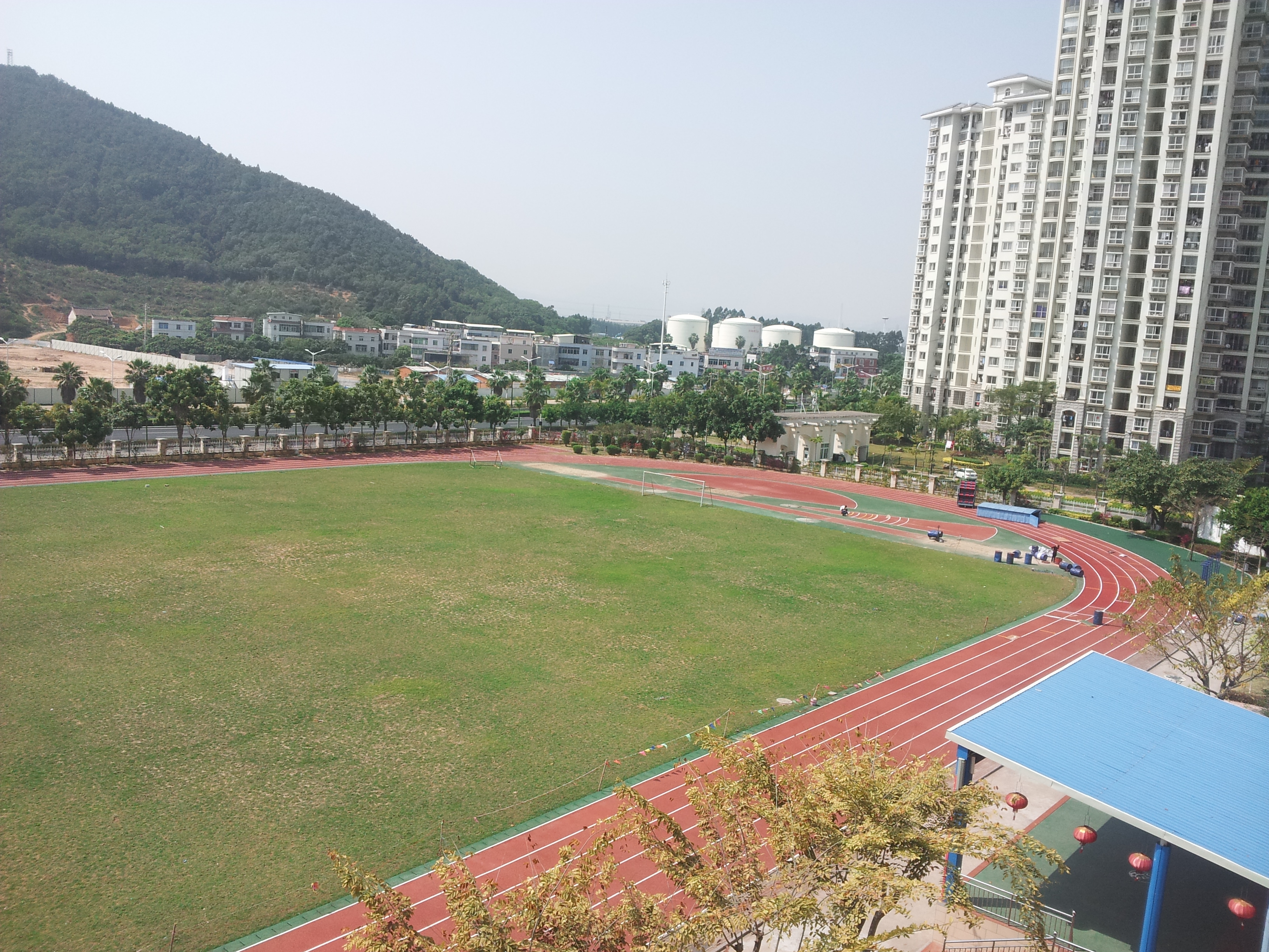 福建塑膠跑道供應商 塑膠跑道報價 塑膠跑道哪家好 塑膠跑道價格
