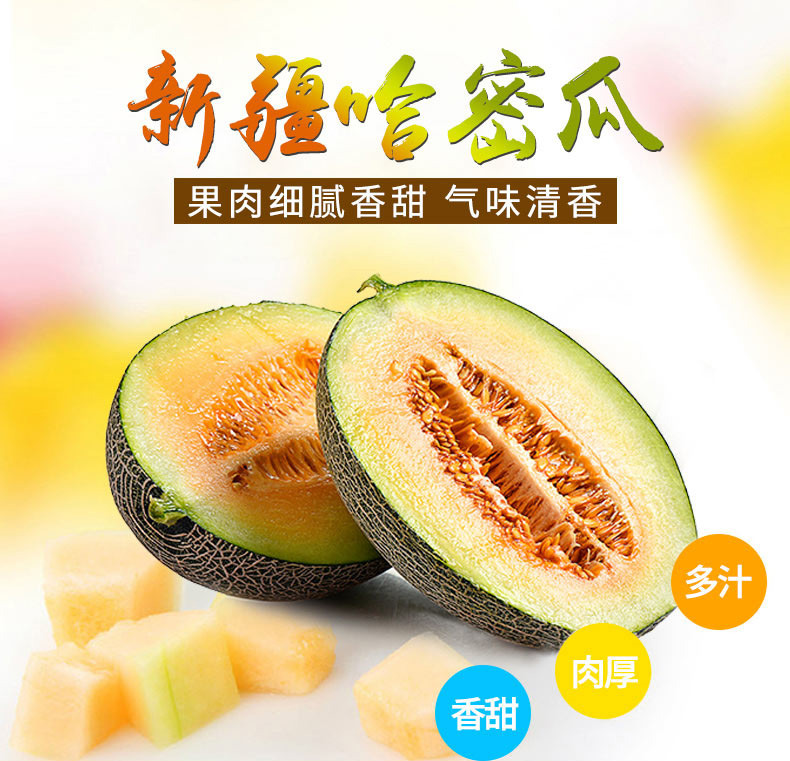 鄭州哈密瓜團(tuán)購批發(fā)，鄭州新疆哈密瓜基地直發(fā)，鄭州新疆哈密瓜團(tuán)購電話，鄭州新疆西州蜜批發(fā)