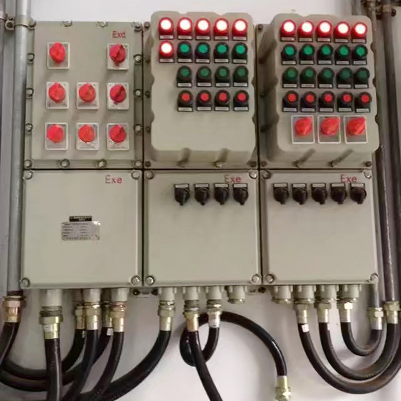 供應(yīng)防爆控制箱保護(hù)電機(jī)