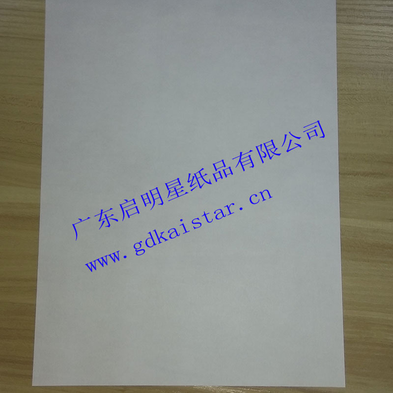 卷筒印刷紙30克字典紙圣經(jīng)紙