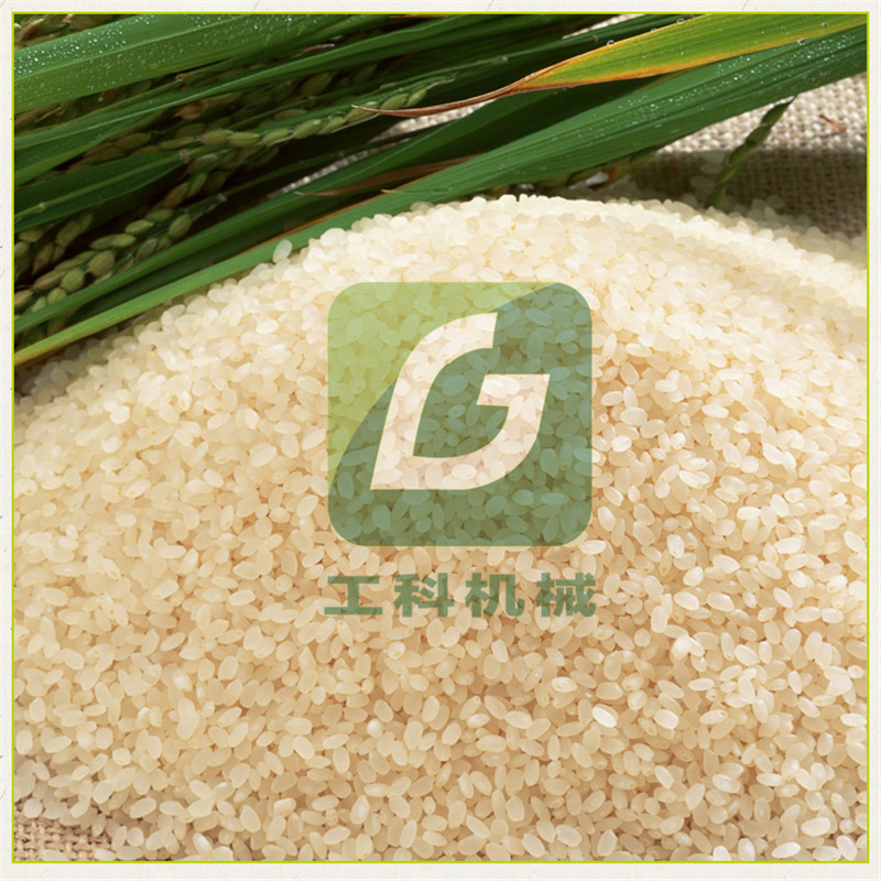 新款燕麥脫皮機(jī)