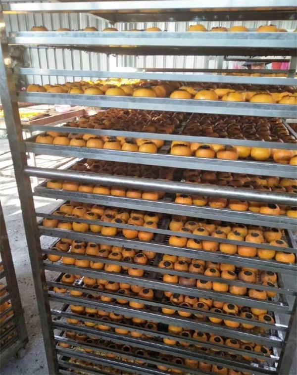 新會柑普茶烘干機 桔普茶烘干機