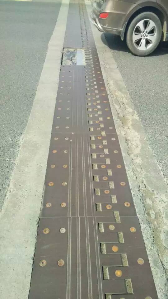 山西長治板式橋梁伸縮縫