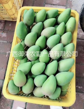 廣西水果供應(yīng) 砂糖桔 芒果 百香果 桂七芒