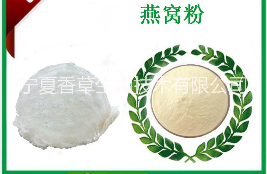 燕窩提取物寧夏廠家 拉絲雪燕粉批發(fā) 燕窩提取燕窩酸含量98% 燕窩酸價格 唾液酸 N-乙酰神經(jīng)氨酸