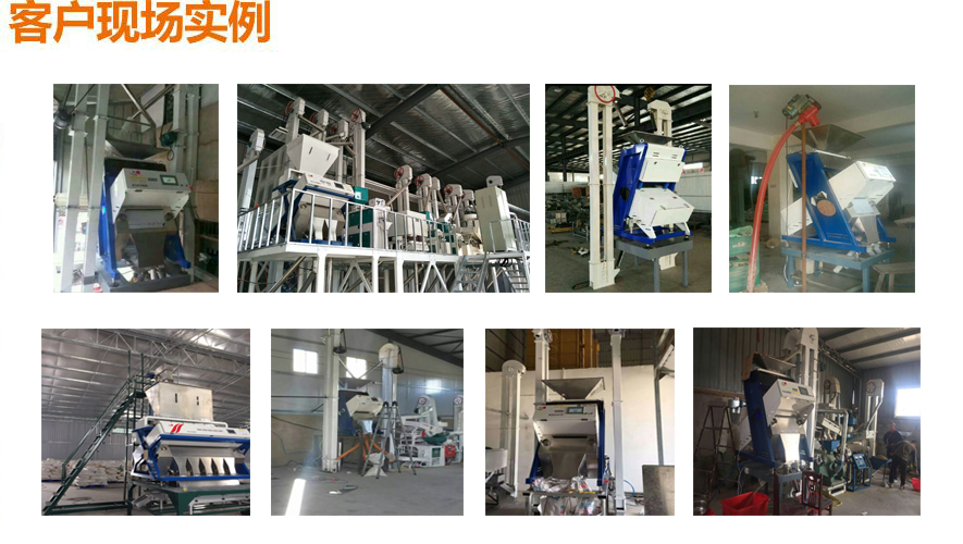 大米色選機(jī) 小型色選機(jī) 甘肅小型色選機(jī) 內(nèi)蒙小型色選機(jī) 河北小型色選機(jī)