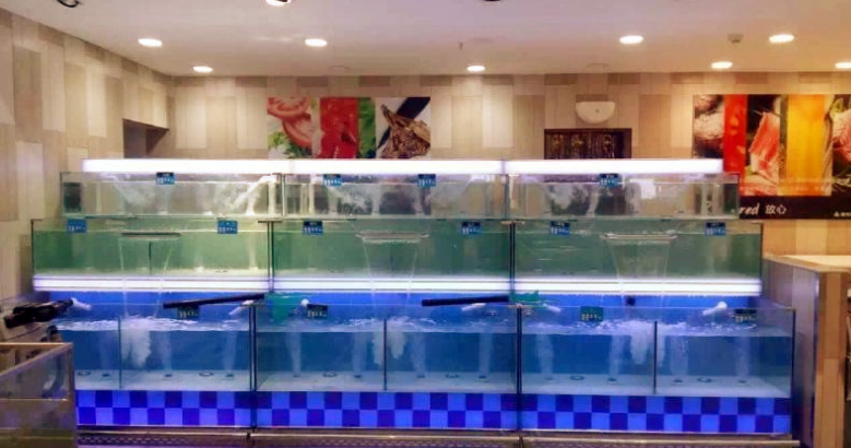 深圳龍華區(qū)民樂(lè)定做海鮮酒家魚池，龍華民塘路哪里有海鮮池定做，民樂(lè)市場(chǎng)制冷魚池安裝