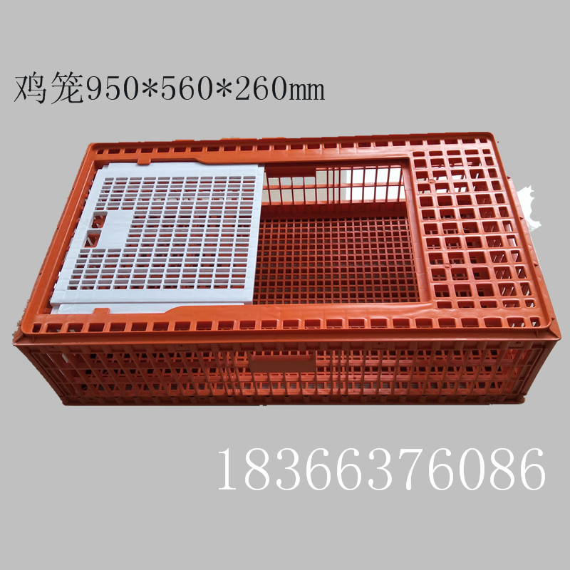 大號成雞籠 成雞運輸籠 裝鴨籠子 大號雞籠子 成雞運輸籠 裝鴨籠子