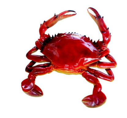 河北螃蟹雕塑 保定螃蟹雕塑價格 螃蟹雕塑報價 河北螃蟹雕塑哪家好 保定螃蟹雕塑 河北螃蟹雕塑制造商 保定螃蟹雕塑廠家直銷