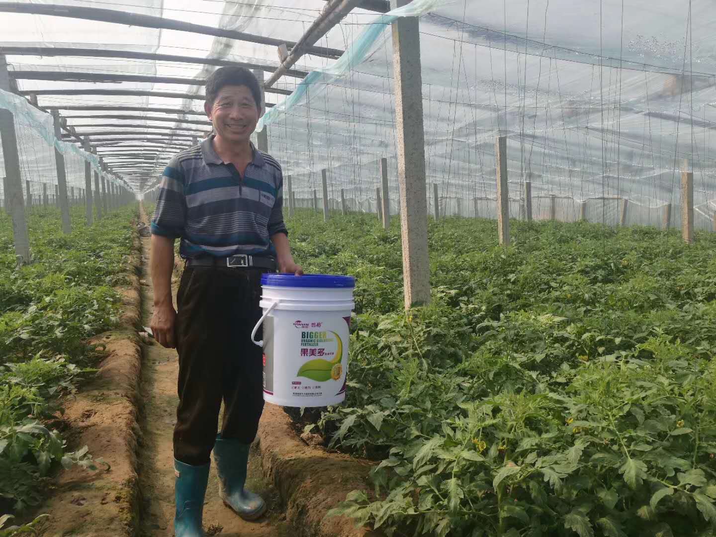 果美多膨果效果好不好，保花保果改良土壤抗重茬