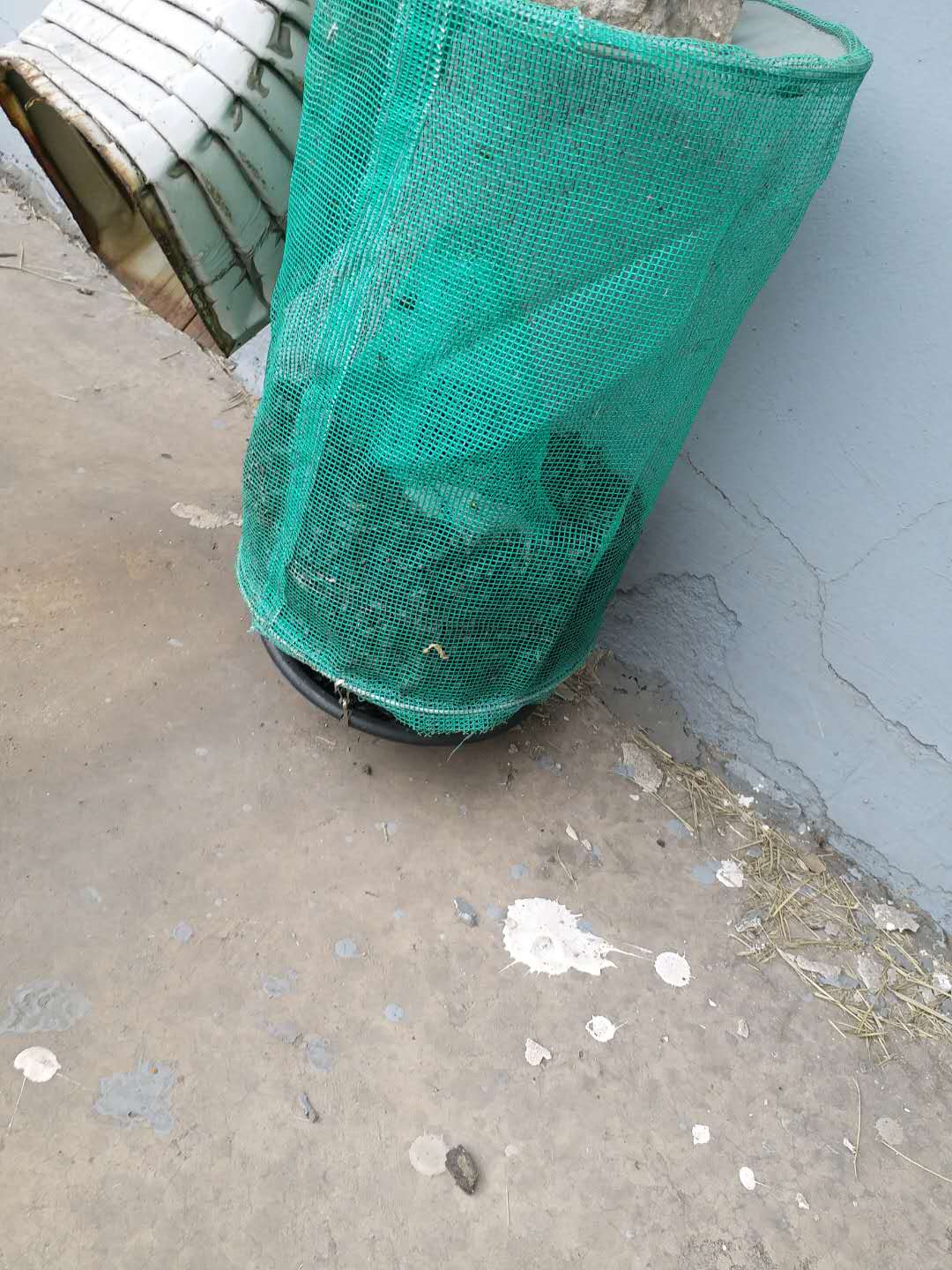 金華專業(yè)消殺公司，金華滅鼠公司，金華蚊蟲消殺公司， 金華專業(yè)滅四害公司 金華專業(yè)滅鼠公司  金華蚊蟲消殺公司