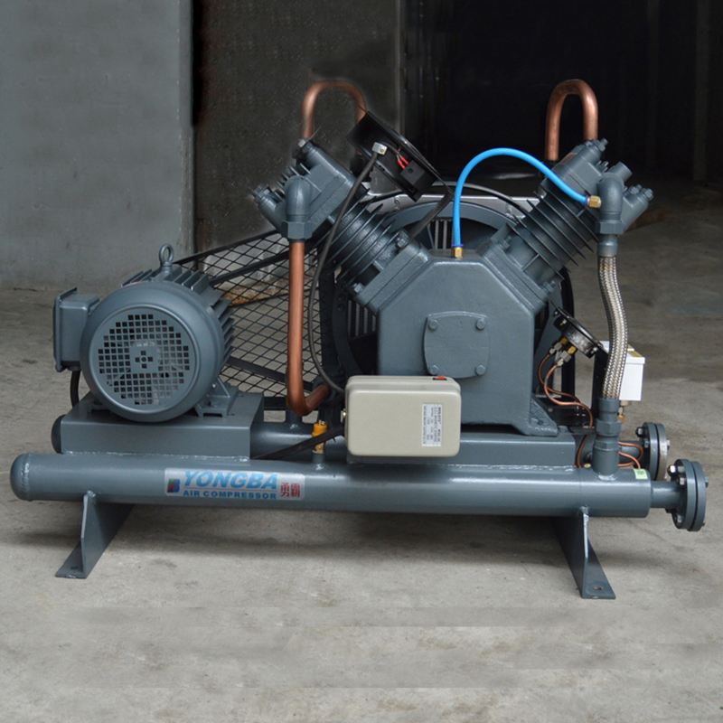 勇霸氮?dú)庠鰤簷C(jī)廠家 VW-20/2-10無油氮?dú)庠鰤簷C(jī)批發(fā) 3KW氮?dú)庠鰤簷C(jī)價(jià)格