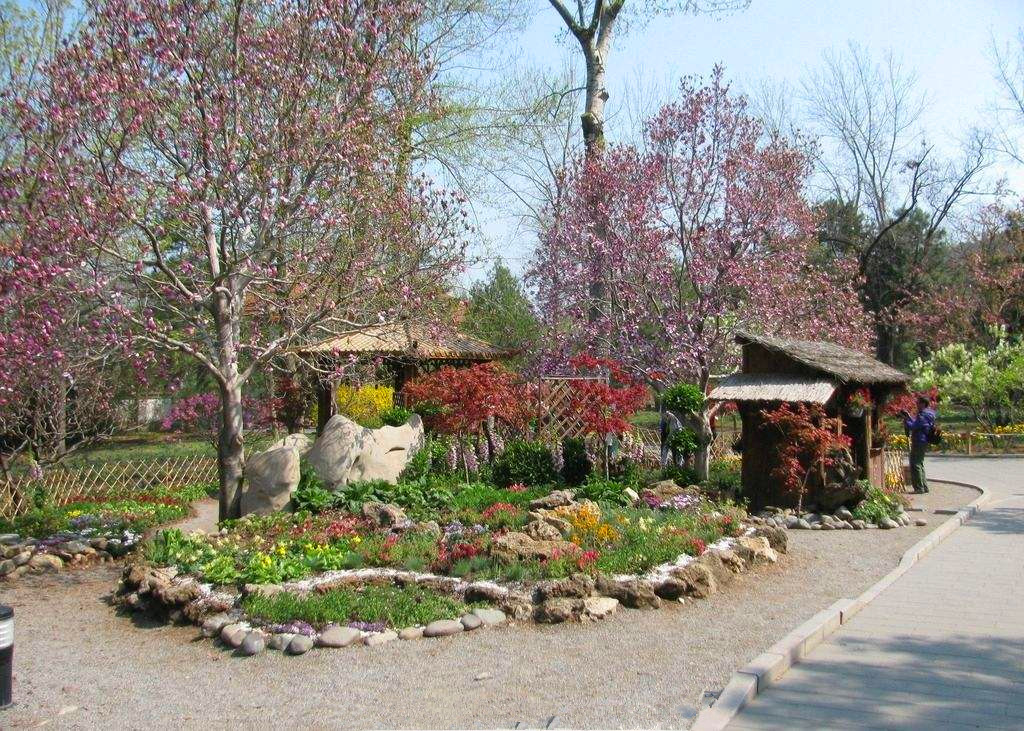 塑鋼木屋施工  上海諧積園林信譽好